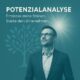 Produktbild: Potenzialanalyse für Unternehner:innen